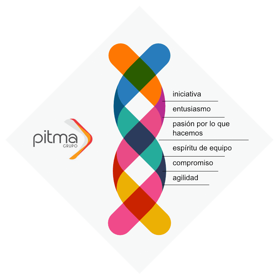 ADN Pitma