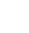 Top 100Inese